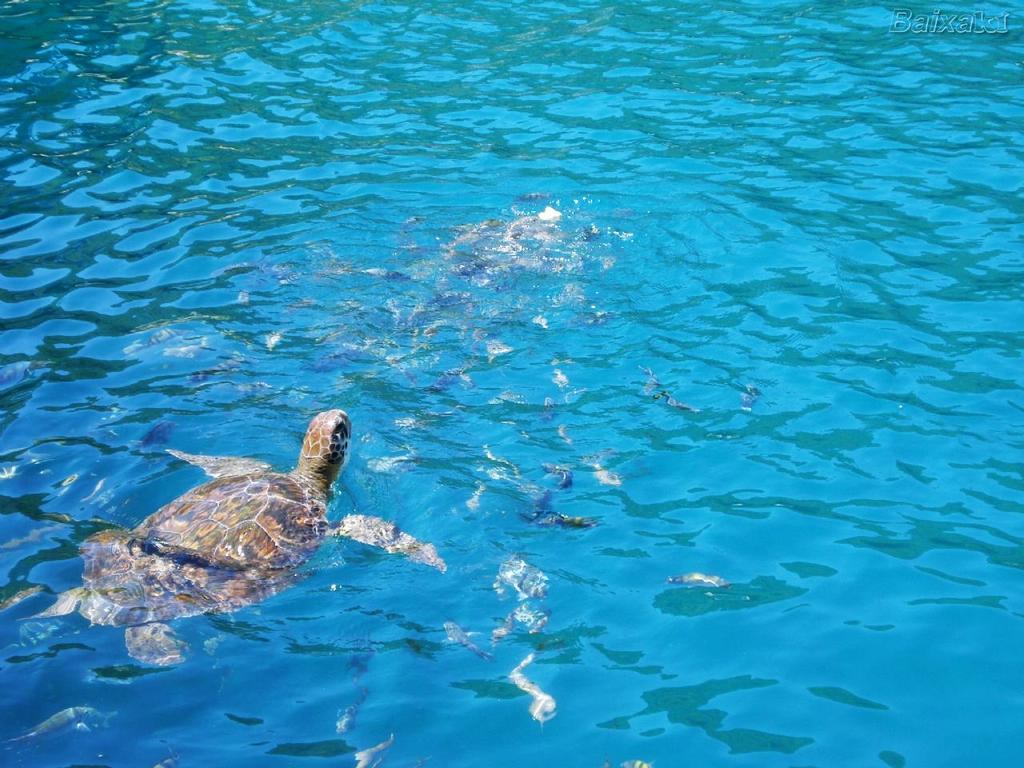 Solares | Verdes Mares Arraial do Cabo Exterior foto